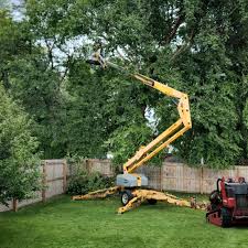 Best Tree Preservation Services  in Elizabethtown, KY