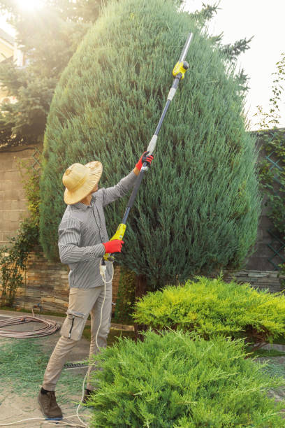 Best Tree and Shrub Care  in Elizabethtown, KY